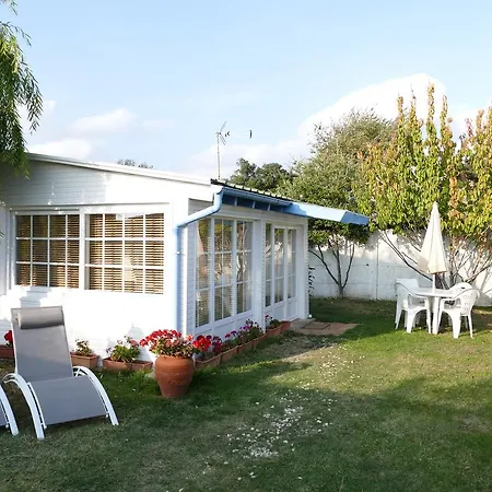 Netmust Saint-Palais-sur-Mer