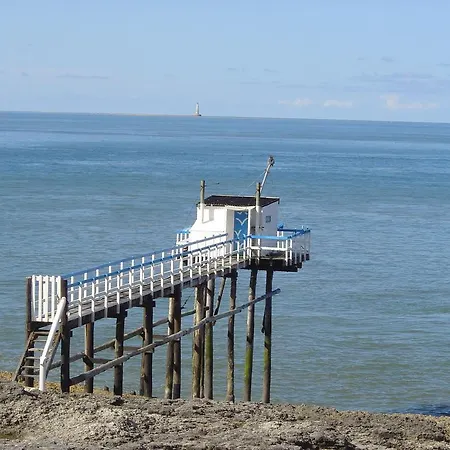 Netmust Saint-Palais-sur-Mer