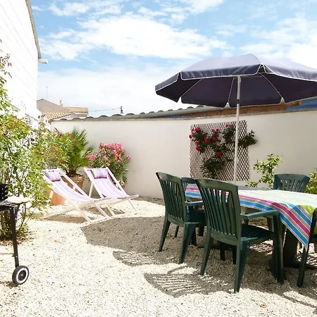 Netmust Saint-Palais-sur-Mer