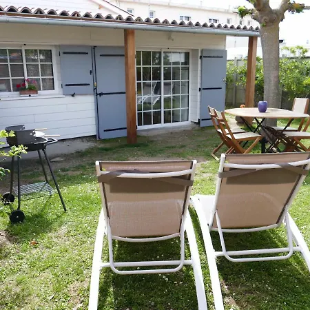 Netmust Saint-Palais-sur-Mer